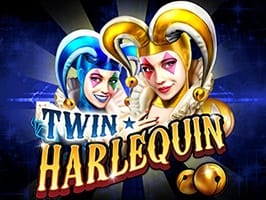 Twin harlequin screenshot