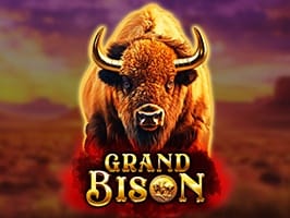 Grand Bison screenshot